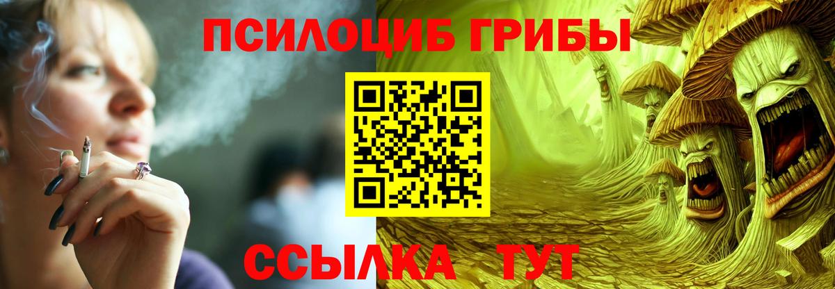 купить наркоту  Псилоцибиновые грибы Psilocybine cubensis  Вход с VPN  Озёрск 