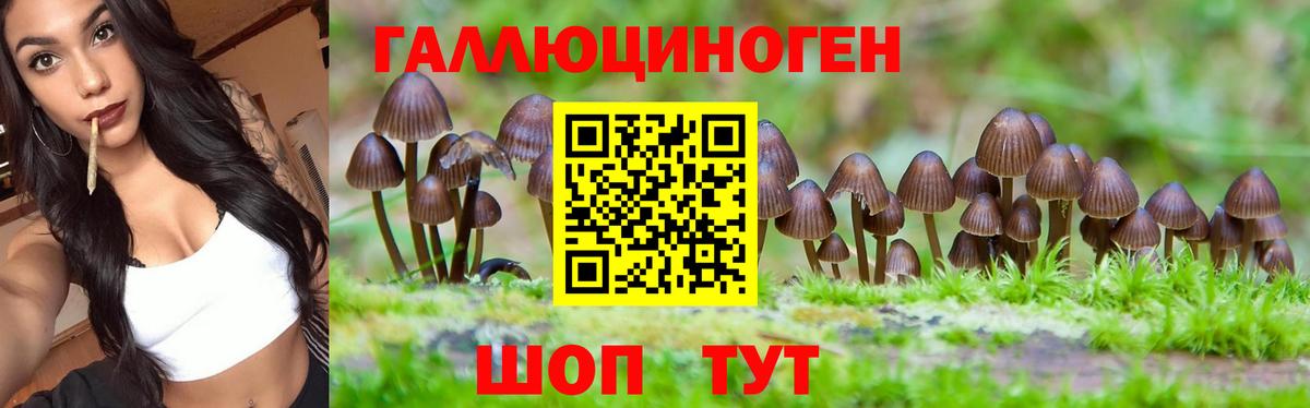 Галлюциногенные грибы мицелий Озёрск